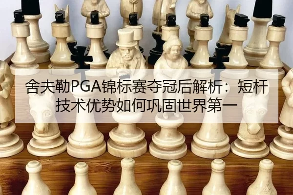 she-fu-lei-jin-biao-sai-duo-guan-hou-jie-xi-duan-gan-ji-shu-you-shi-ru-he-gong-gu-shi-jie-di-yi-3-459.jpg